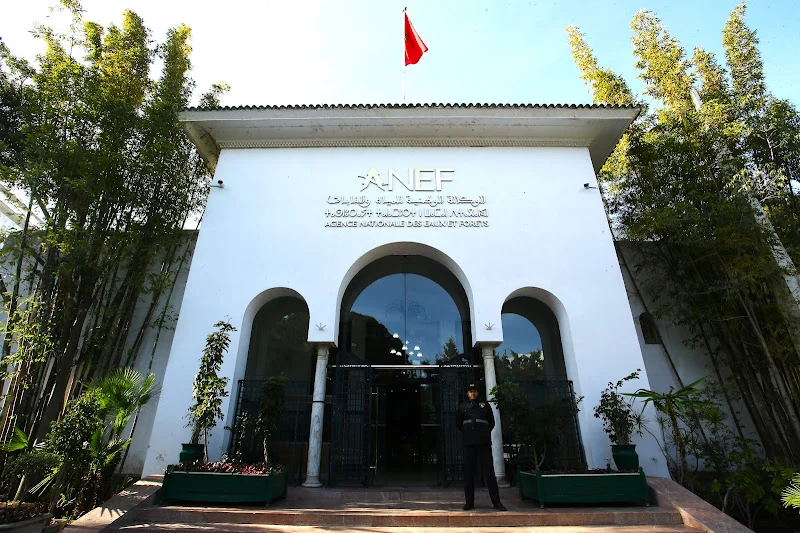 وزارة الفلاحة تطلق إصلاحات لتحديث إدارة وموارد الوكالة الوطنية للمياه والغابات