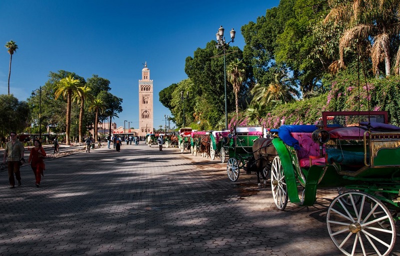 دعم المقاولات محور اجتماع منظمة السياحة العالمية بمراكش