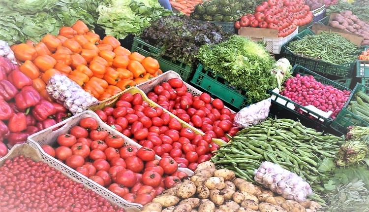 هل ستخفض التساقطات المطرية الأخيرة  أسعار الخضر أم سترفعها ؟