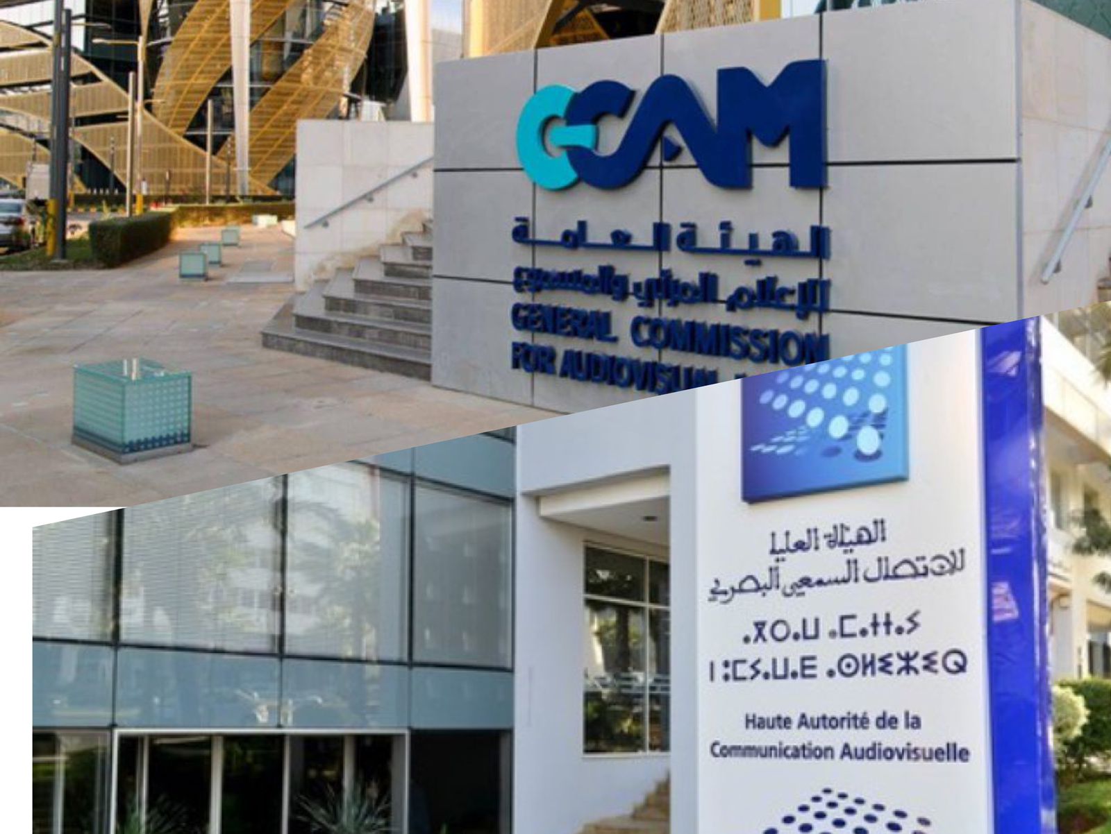 مباحثات بين "الهاكا" ونظيرتها السعودية للتعاون في تقنين الاتصال السمعي البصري والتكوين