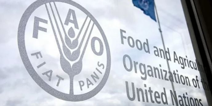 انتخاب المغرب عضوا في المجلس الإداري لـ"الفاو"