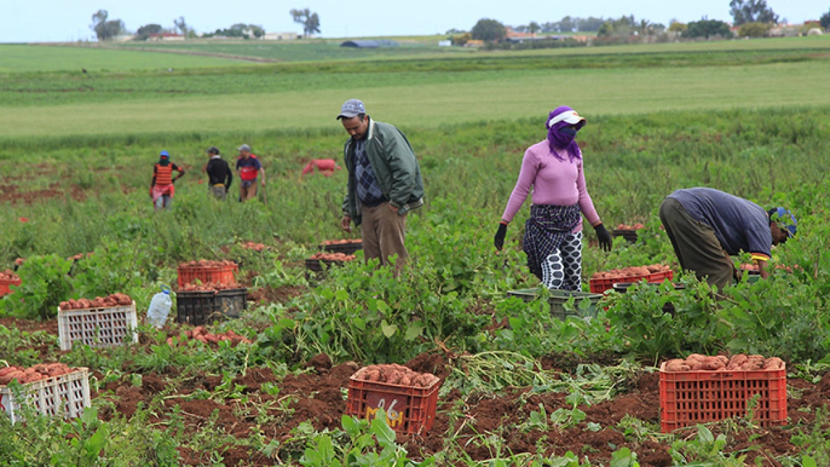 منظمة حقوقية تطالب بإدراج سلامة وأمن عمال الضيعات الفلاحية في الحوار الاجتماعي