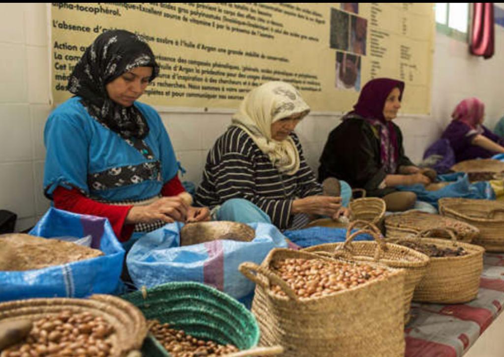 4 آلاف مقاولة استفادت من أوراش