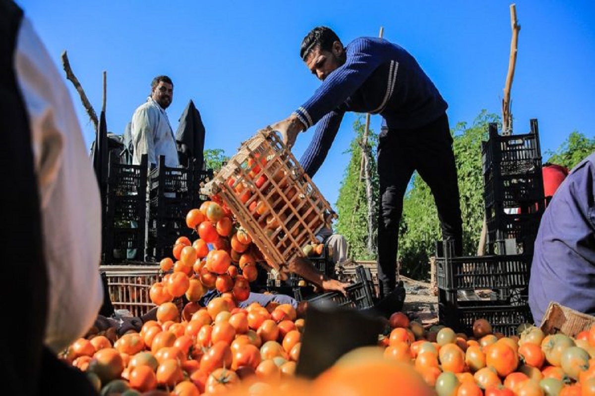 الضريبة على القيمة المضافة على المدخلات الفلاحية.. المنتجون يجتمعون بلقجع