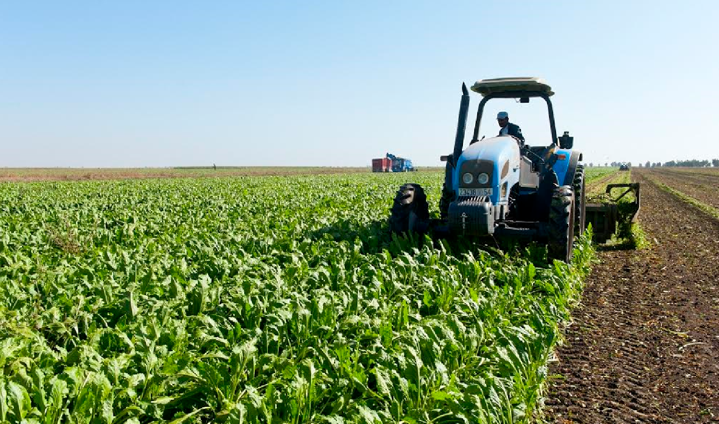 صديقي يعطي انطلاقة الموسم الفلاحي الجديد من عاصمة الشاوية
