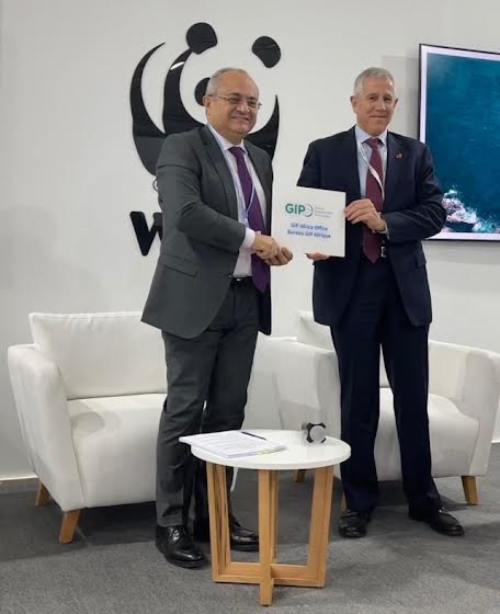 بنجلون تويمي رئيسا ثانيا وكاتبا عاما لمكتب GIP بأفريقيا