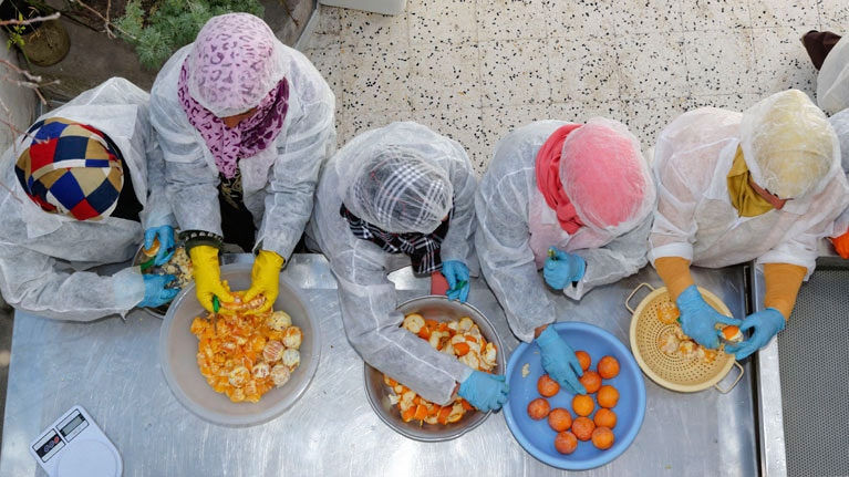 تقرير: القطاع التعاوني الفلاحي فاعل رئيسي في مجال التشغيل الذاتي