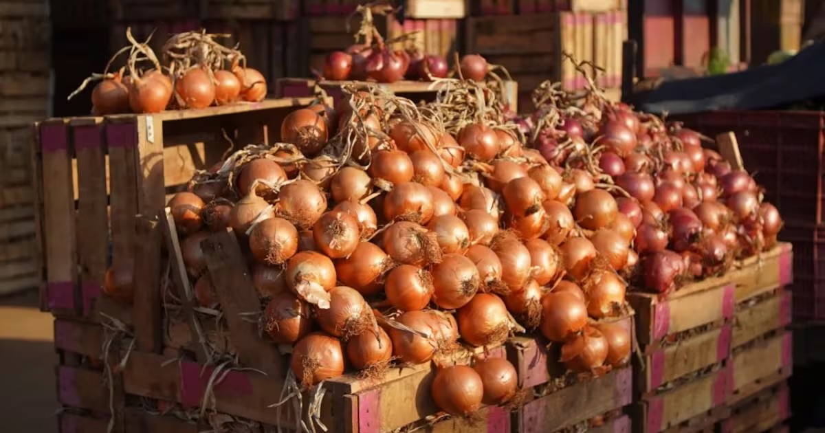 مهني: تدفق البصل الأجنبي سيخفض الأسعار خلال الأيام المقبلة