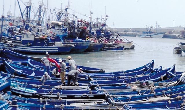 دعم تعاونيات الصيد البحري محور يوم دراسي بطنجة