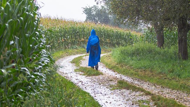 هذه أهم المناطق الفلاحية المستفيدة من الأمطار الأخيرة