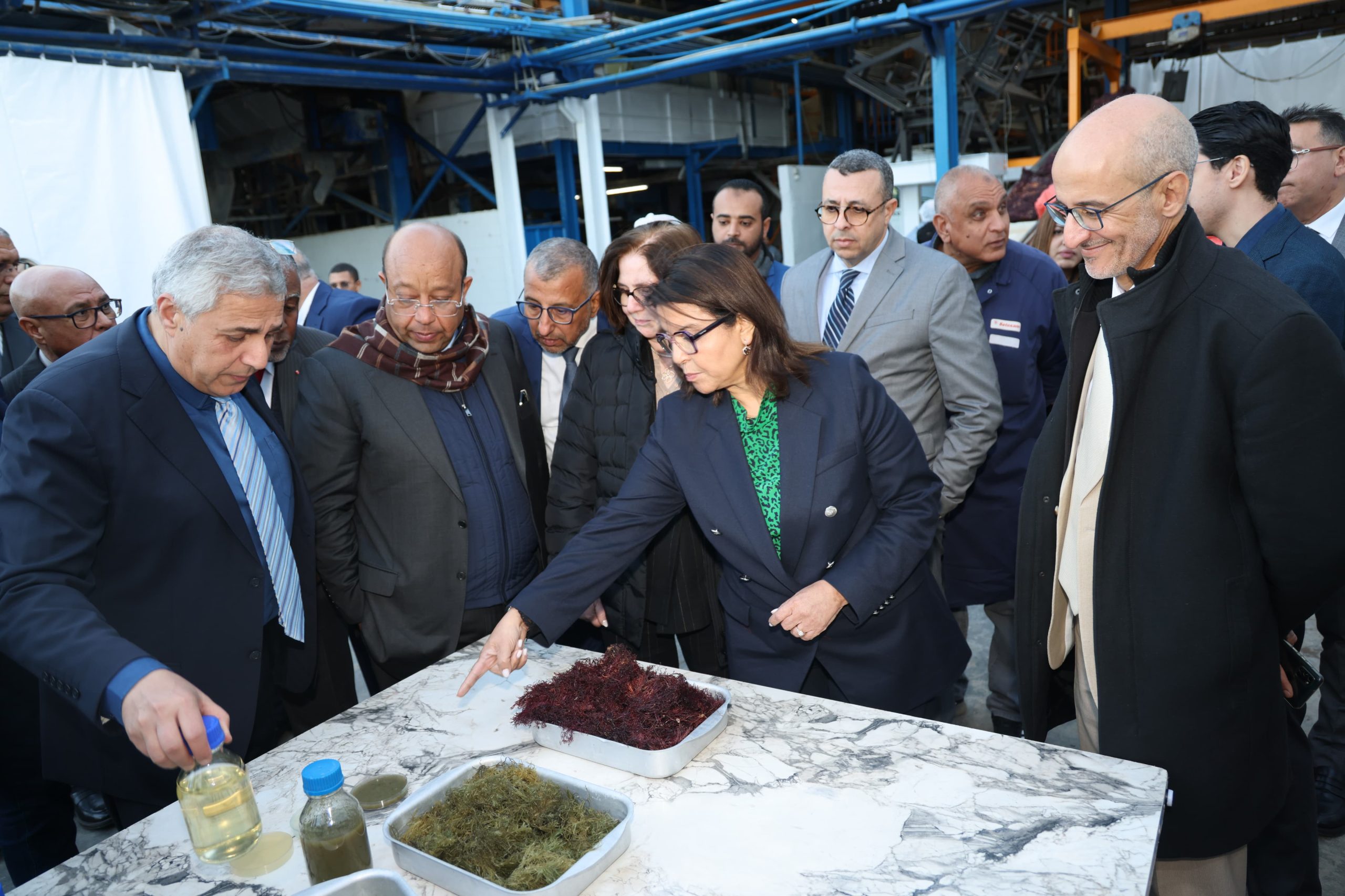 تدشين وحدة صناعية لإنتاج ومعالجة الطحالب باستثمار قدره 60 مليون درهم