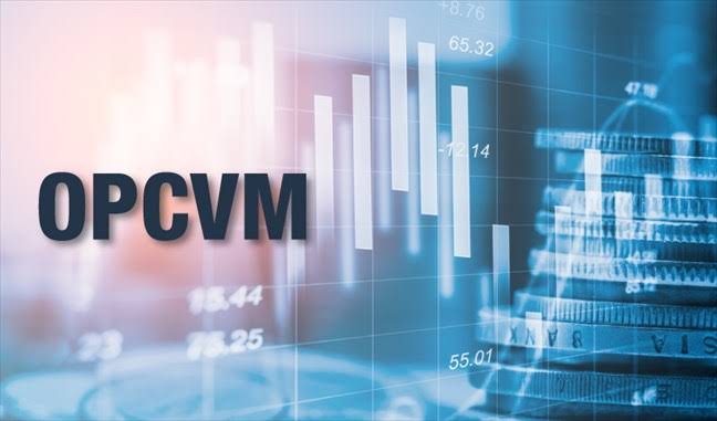 صناديق (OPCVM): صافي الأصول يقترب من 813,6 مليار درهم