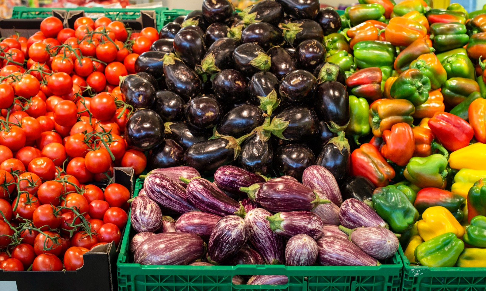 بالأرقام: صادرات لخضر المغربية تجتاح أسواق بولندا ورومانيا والتشيك والنرويج + إنفوغراف