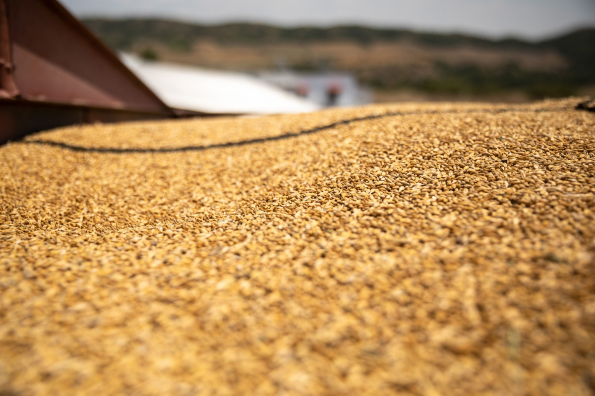 روسيا "تبشر" المغرب وباقي المستوردين برفع توقعات صادراتها من الحبوب إلى 60 مليون طن