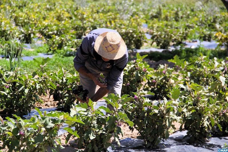 توقيع اتفاقية للنهوض بالتشغيل في القطاع الفلاحي