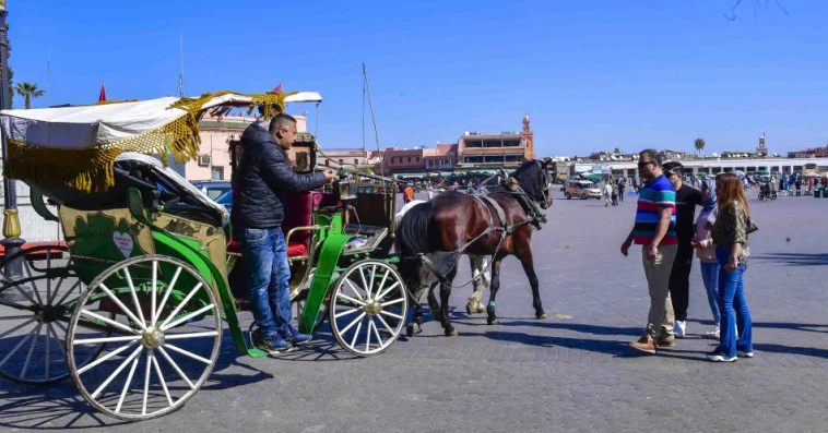 المكتب الوطني المغربي للسياحة يطلق موجة جديدة من حملة "نتلاقاو فبلادنا"
