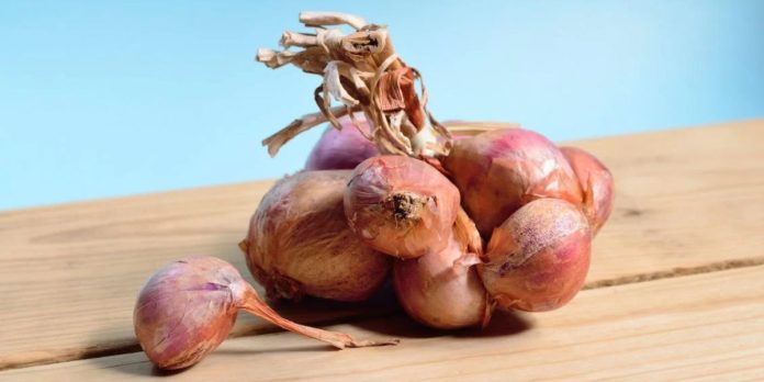 بالأرقام: صادرات البصل المغربية تتحدى الجفاف + إنفوغراف