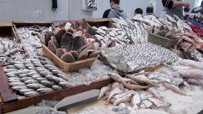 عرض وافر من الأسماك: سوق الجملة بالبيضاء يستقبل أزيد من 720 طنا في فاتح رمضان