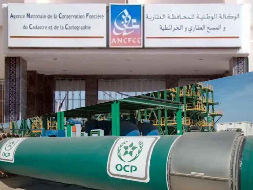 مجمع الفوسفاط والمحافظة العقارية أنعشا خزينة الدولة بـ650 مليارا