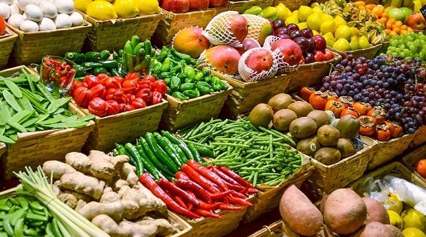 صادرات المغرب الفلاحية تحقق أرقاما قياسية في إسبانيا مطلع 2025