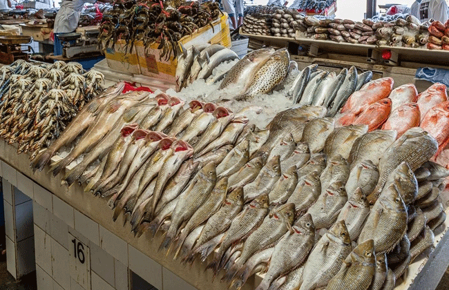 أسعار بيع الأسماك على مستوى جهة مراكش – آسفي الأربعاء 19 يناير