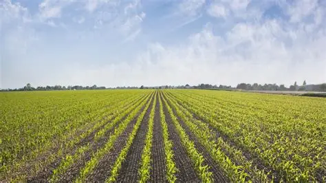 فنلندا تسعى إلى استكشاف واستثمار الإمكانات الزراعية التي يزخر بها المغرب