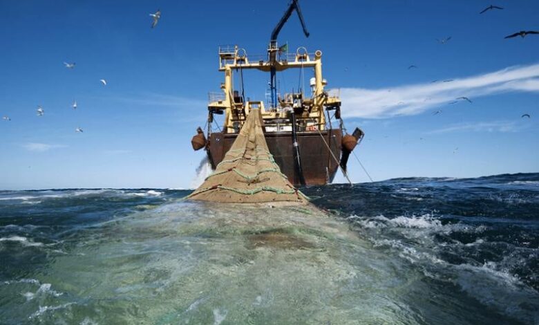 ارتفاع قيمة المنتجات المسوقة بـ6% سنة 2024