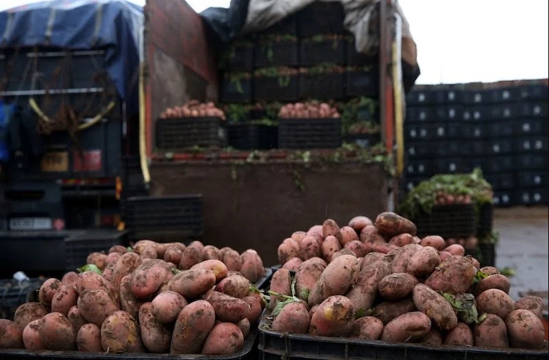 تصدير الخضر إلى الأسواق الأفريقية.. المهنيون يطالبون الحكومة برفع القيود
