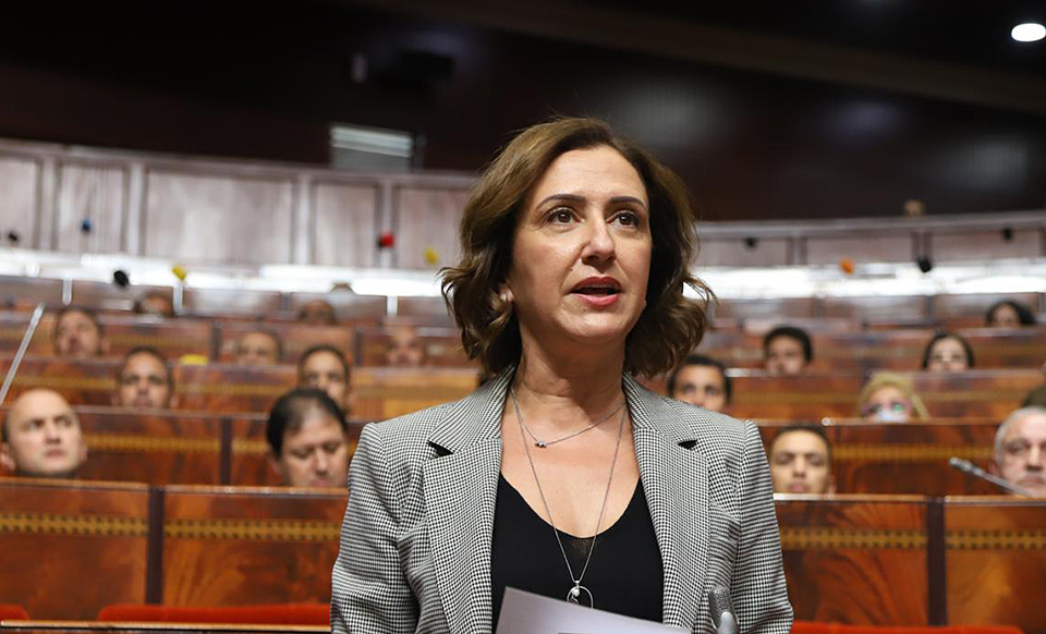 تسوية وضعية المرشدين السياحيين غير المرخصين تسائل عمور بالبرلمان