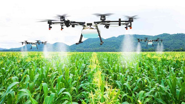 فلاحة ذكية في زمن الجفاف: كيف يجب على المغرب أن يواجه الإجهاد المائي؟