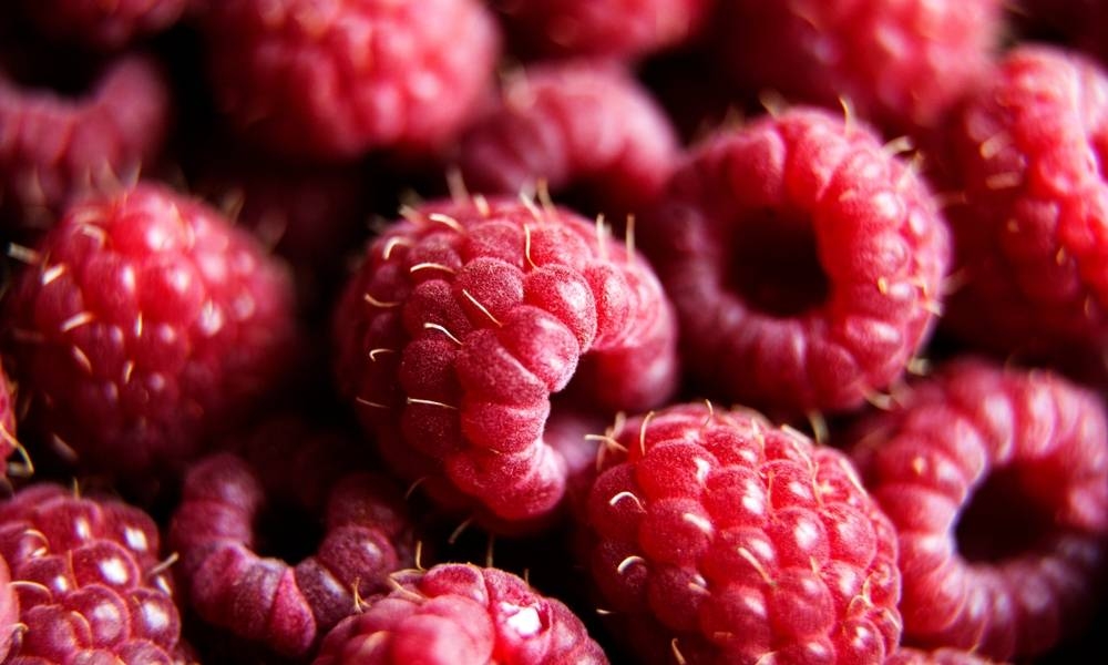 صادرات "الفرامبواز" المغربي تتوسع في أسواق الخليج