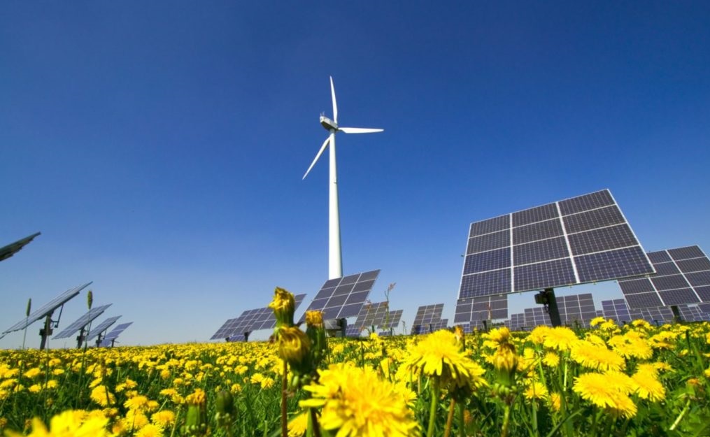 الانتقال المناخي لدى الشركات المدرجة.. حركية منخرطة وممارسات غير متجانسة