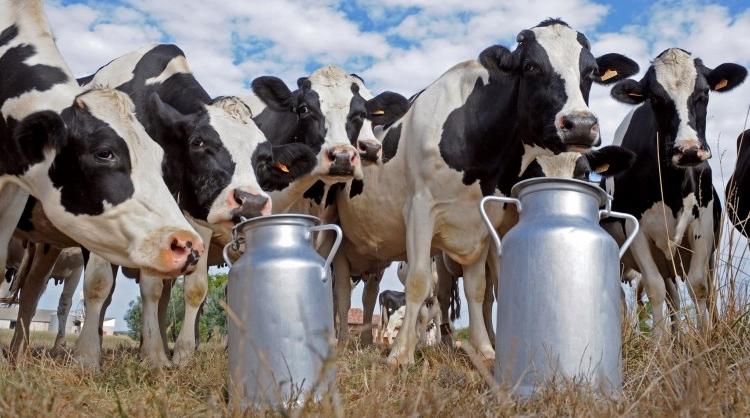 402 مليون درهم لدعم الشراكات البيمهنية وتعزيز الأمن الغذائي