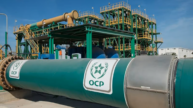 مجموعة OCP تحسّن رقم معاملاتها بنسبة 6% سنة 2024