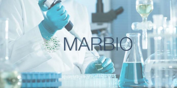 صناعة اللقاحات.. "سينسيو فارماتيك" المغربية ترفع رأسمالها وتغير تسميتها إلى "ماربيو"