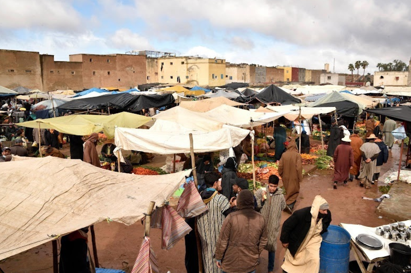 المغرب يحقق مستويات مهمة من الاكتفاء الذاتي في المواد الغذائية