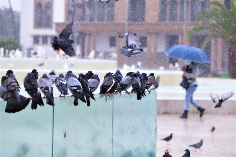 طقس الجمعة.. أجواء باردة مع تكون صقيع ببعض مناطق المملكة