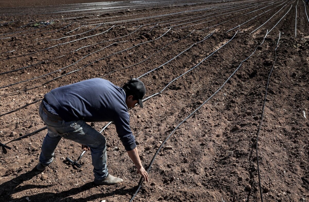 الحكومة تراهن على مليار درهم لإطلاق دينامية تشغيل جديدة في العالم القروي