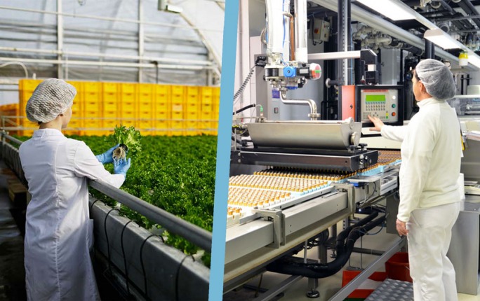 بالأرقام: أسعار الصناعات الغذائية في صعود