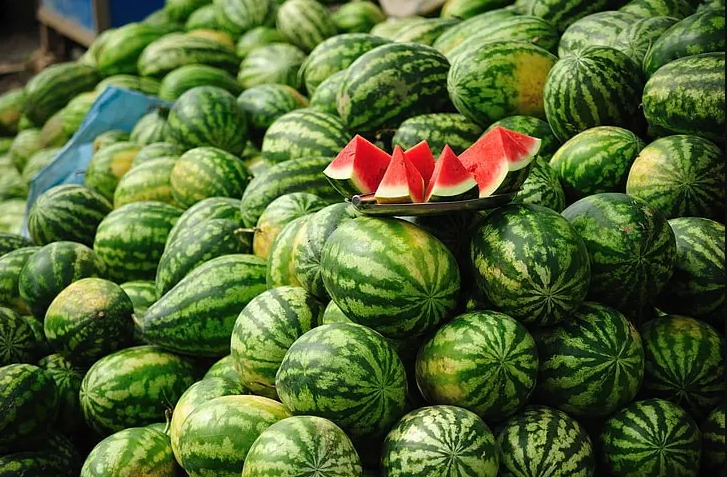 "الدلاح" الملوث بالمبيدات يلاحق صديقي في البرلمان