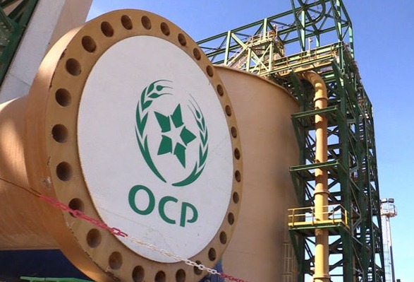 المجمع الشريف للفوسفاط يتصدر تصنيف أكبر 10 شركات بالمغرب