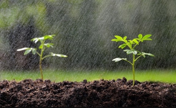 تساقطات في هذه المناطق تحيي آمال الفلاحين