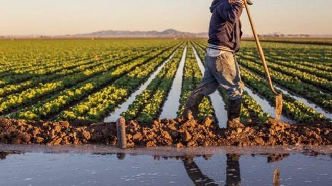 التساقطات المطرية تبعث الأمل في موسم فلاحي جيد