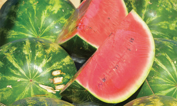 واردات فرنسا من "الدلاح" المغربي ترتفع بـ155% في عقد واحد