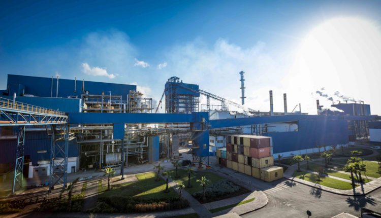 صادرات السكر ترفع رقم معاملات "كوسومار"