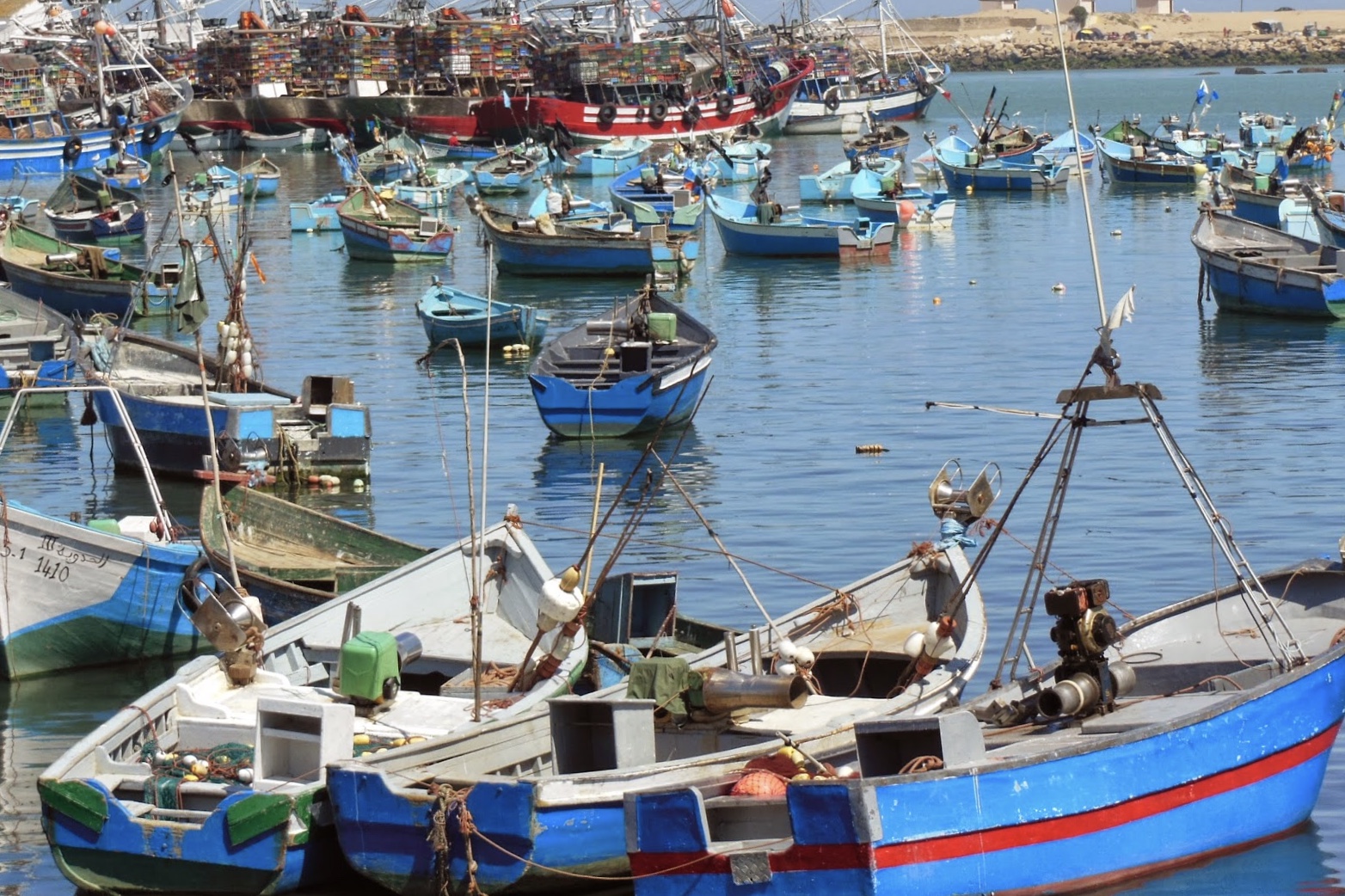 قوارب للصيد بطنجة تربك حركة المرور البحرية بجبل طارق
