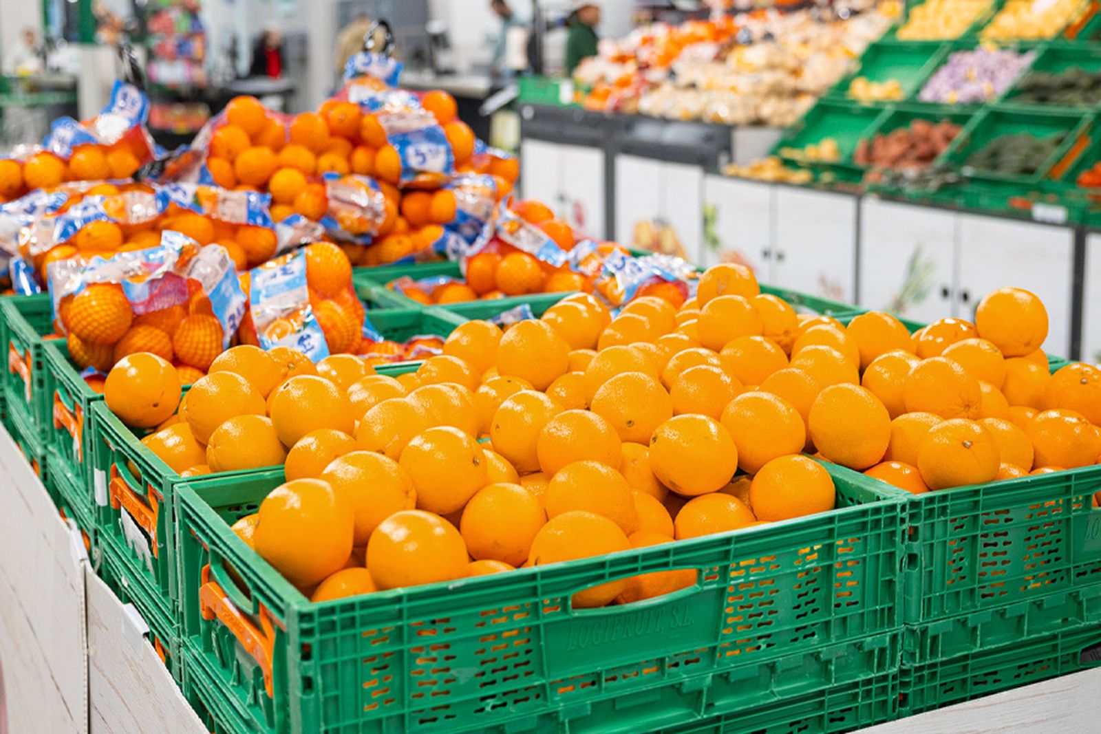 تزايد صادرات المغرب من الحمضيات نحو الاتحاد الأوروبي يثير قلق المزارعين الإسبان