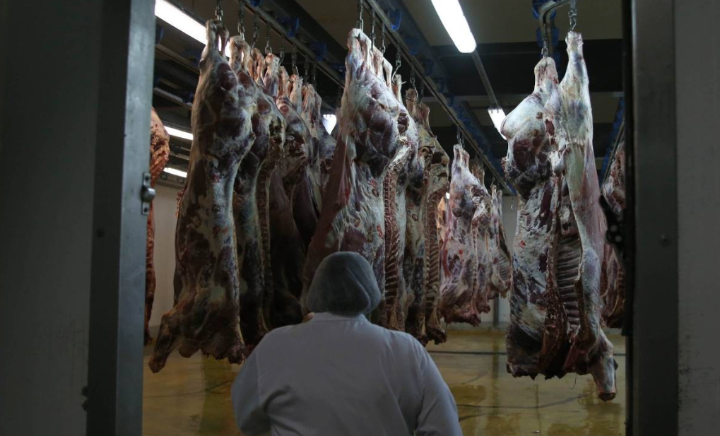 مجازر البيضاء تحصل على شهادتي جودة