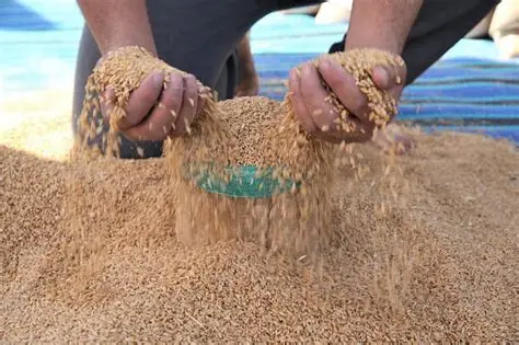 المجلس العلمي الأعلى يحدد قيمة زكاة الفطر في 25 درهما