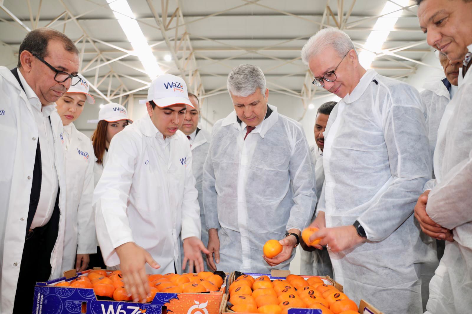 صديقي يتفقد مشاريع الجيل الأخضر بجهة مراكش